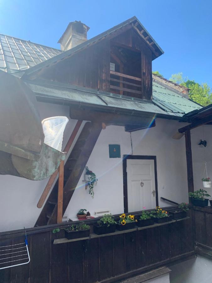 Loft Natalya Gold Apartment Чешки Крумлов Екстериор снимка